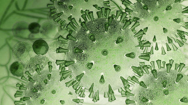 coronavirus houston - cdc fact sheet hepatitis b vaccine